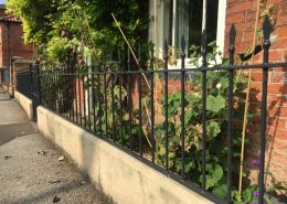Iron Fencing