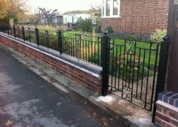 Iron Fencing